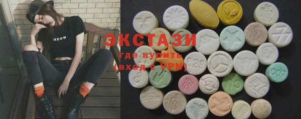 индика Алексин
