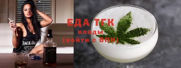 индика Алексин