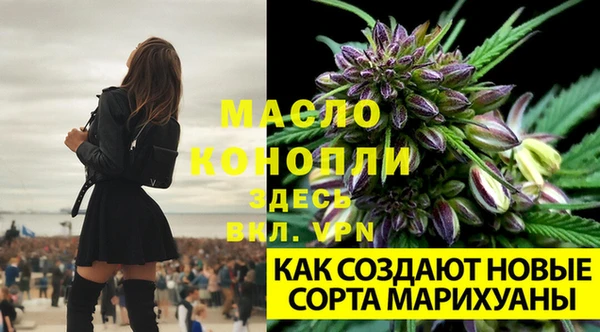 дистиллят марихуана Алзамай