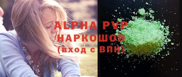 индика Алексин