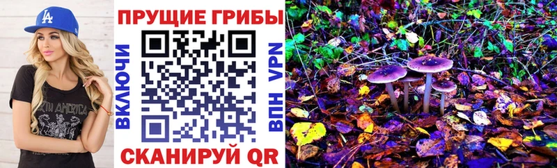 darknet как зайти Тетюши Псилоцибиновые грибы Cubensis